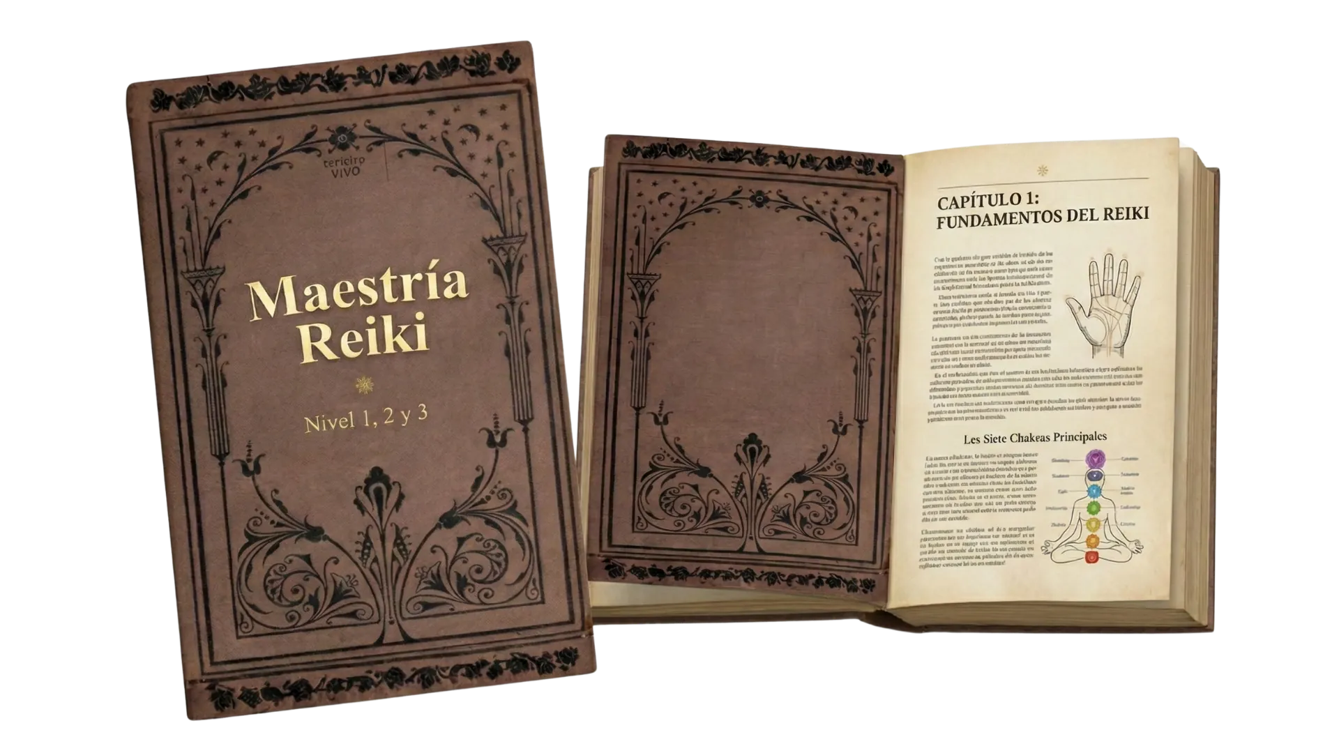Kit digital Reiki